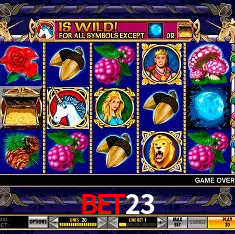 Descubra o Mundo do Cassino Online com bet23